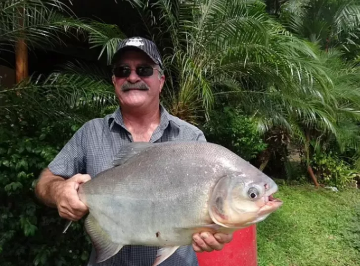 Günlerce aradılar! Balık tutarken kaybolan adamın cansız bedeninin parçaları timsahın midesinden çıktı