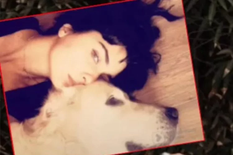 Köpeği Korsan'ı kaybeden Tuba Büyüküstün'den duygusal veda