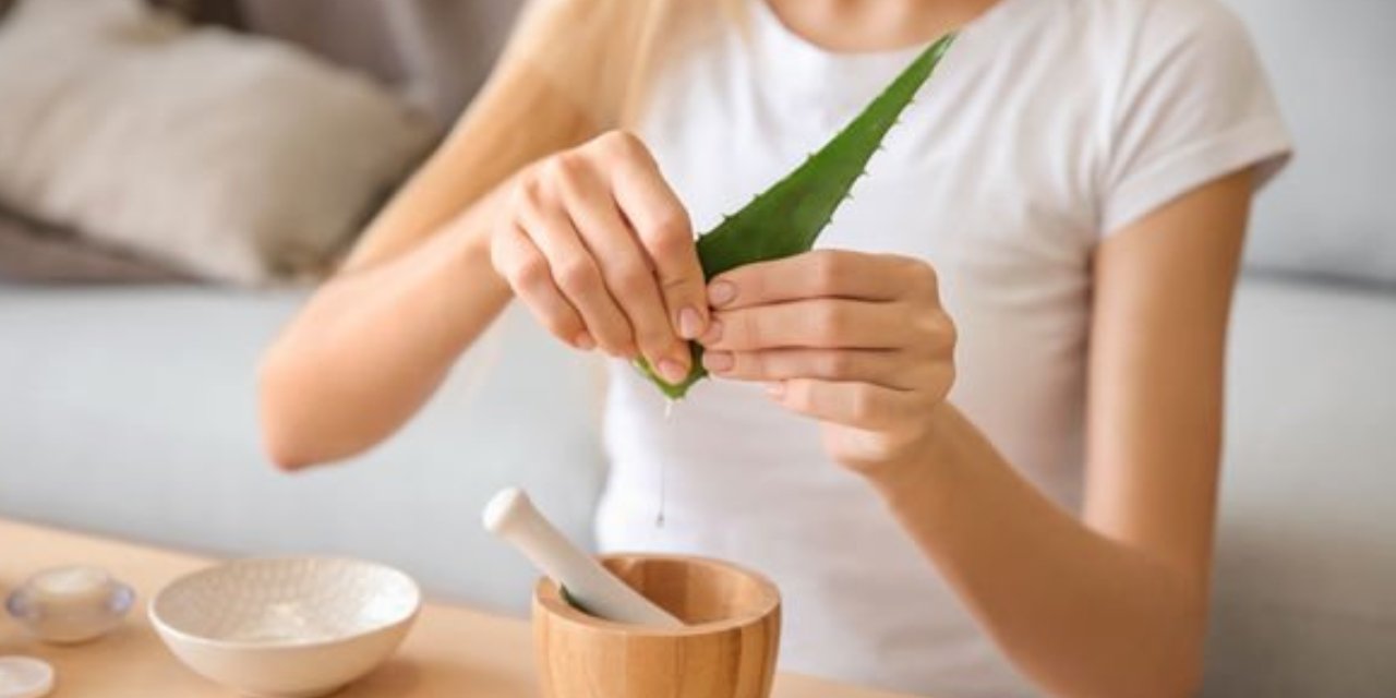 Ölümsüzlük bitkisi olarak bilinir... Nedir? Nası kullanılır?