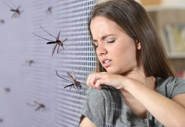 Evinizdeki sineklerden tamamen kurtulmanızı sağlayacak doğal sinek kovucu yöntemler