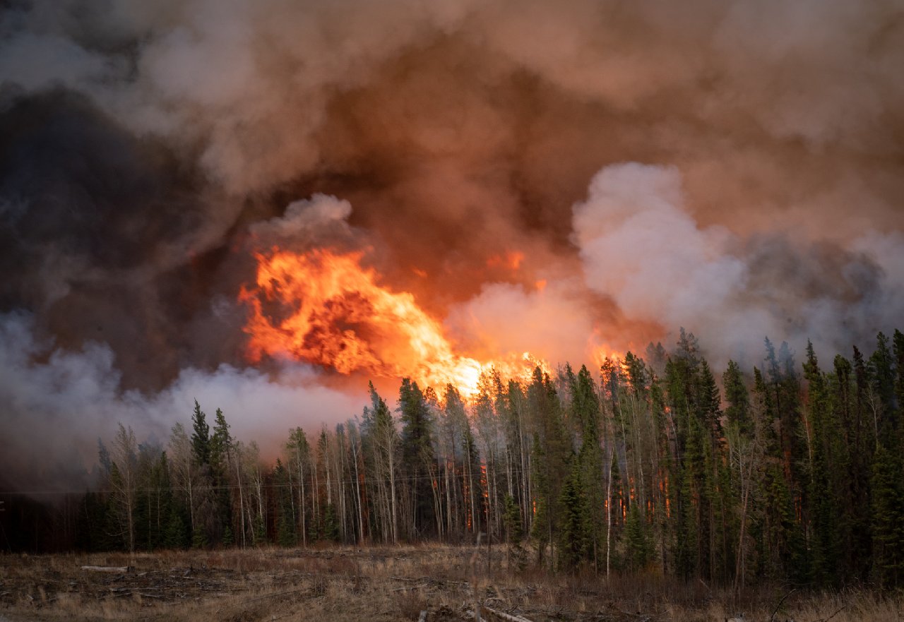 Kabus geri döndü! 78 noktada birden orman yangını... 13 bin kişi tahliye edildi