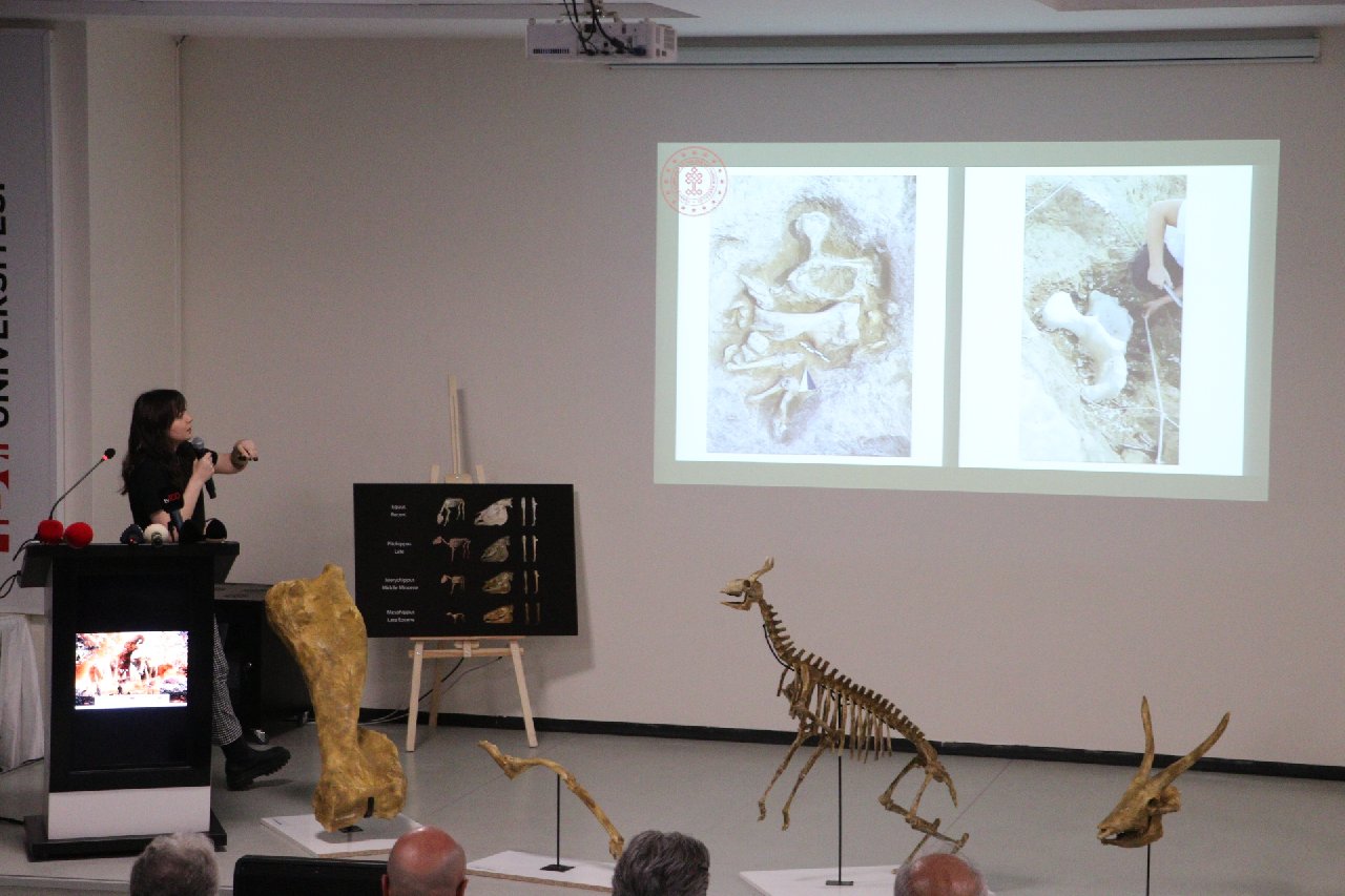 Türkiye'nin İlk Paleontoloji Müzesinin Yüzde 80'i Tamamlandı