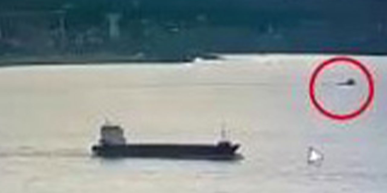 İstanbul Açıklarında Operasyon: Son Anda Kurtarıldılar