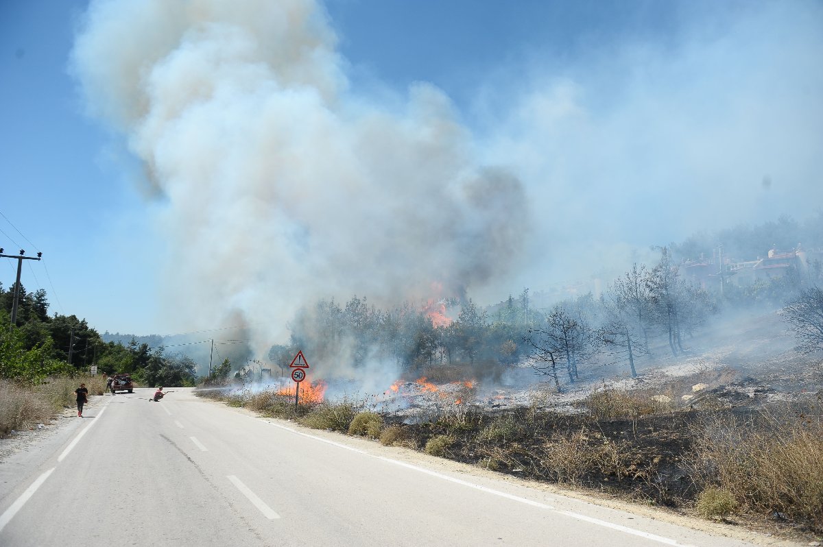 Bursa’da orman yangını! Dumanlar karayolunu kapladı
