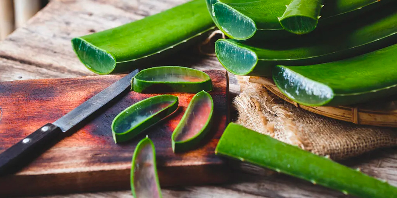 Evinde aloe vera bitkisi olanlara iyi haber! O hastalığı kökünden kurutuyor