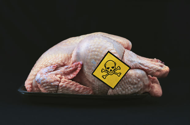 En Zehirli: Tavuğun Bu Parçası Asla Yenmemeli