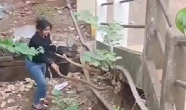 Bir kadın, bahçesine giren kocaman yılanları elleriyle böyle yakaladı