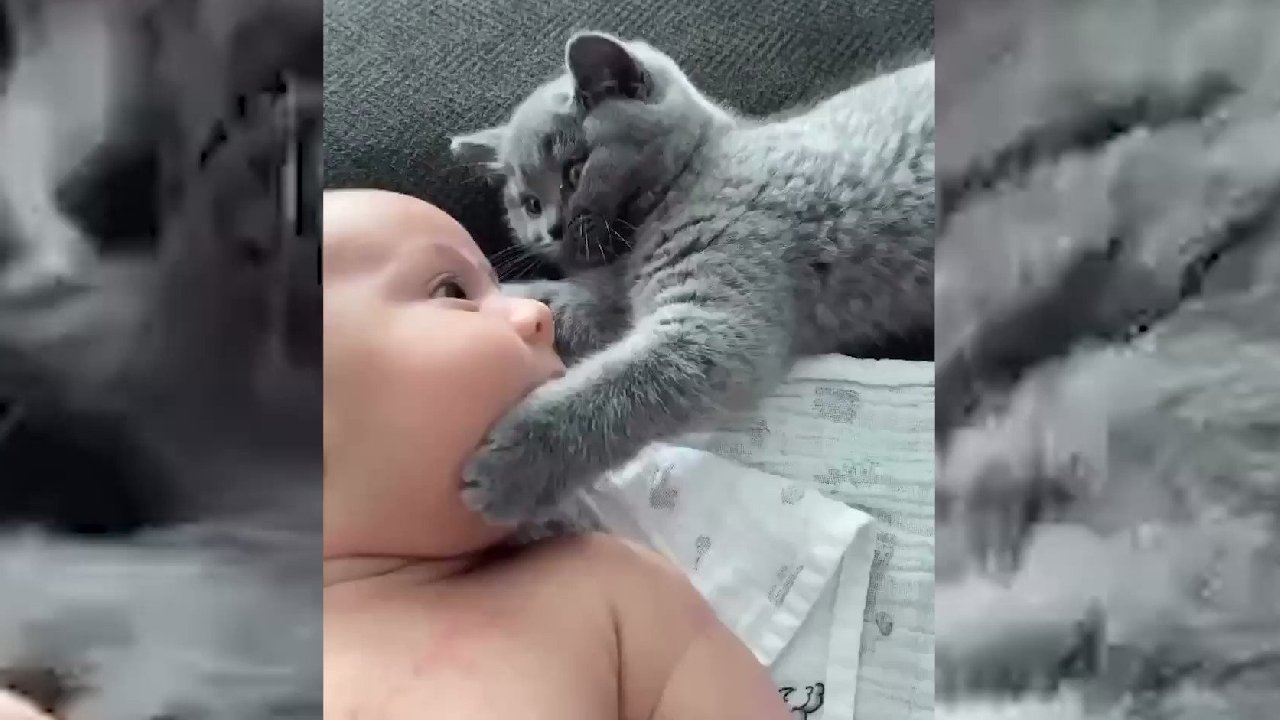 Kedinin bebek sevgisi viral oldu