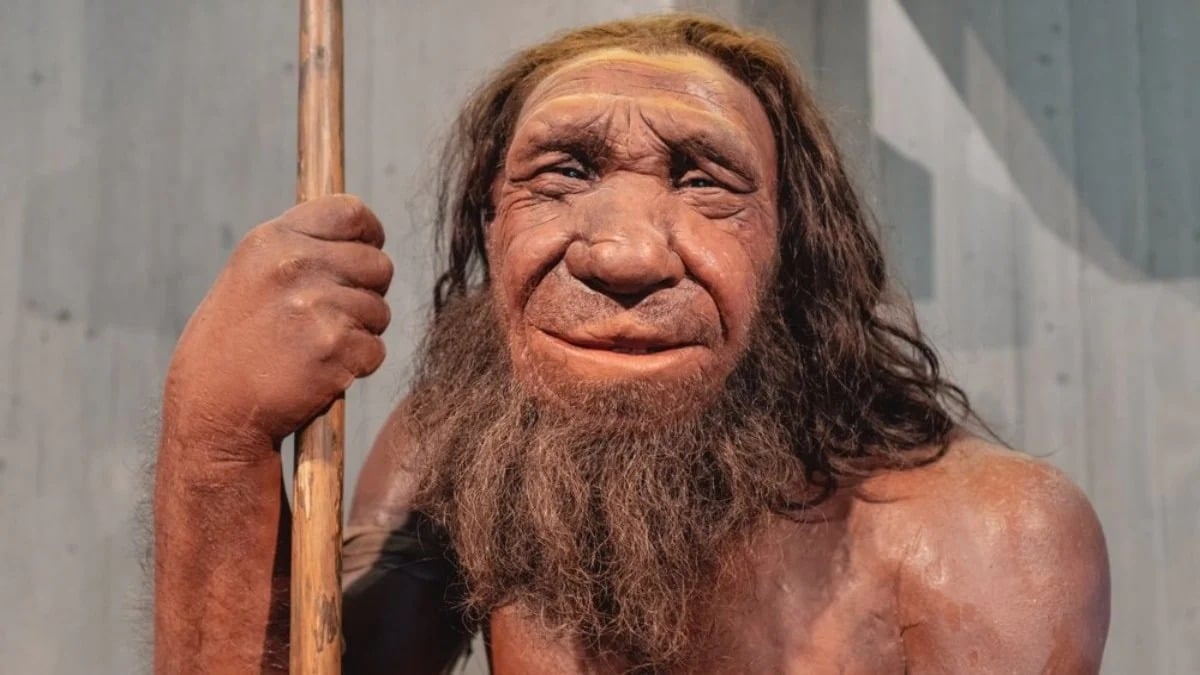 'Uzun Burun' Neandertallerden Miras Kalmış