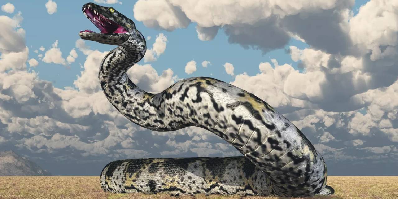 Dünyada  şimdiye kadar var olan en büyük yılan  Titanoboa kurgusal bir canavar değil , gerçek…