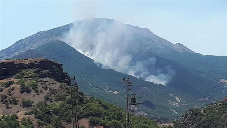 Tunceli'deki yangınlarla ilgili Baro'dan açıklama