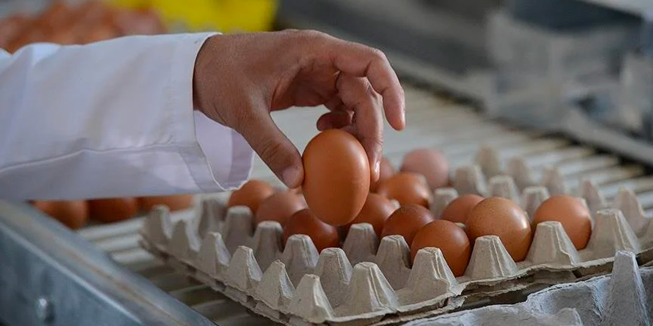 Yıllarca hata yapmışız! Yumurtayı buzdolabında saklayanlara uzmanından kötü haber: Yaydığı hastalığa inanamayacaksınız