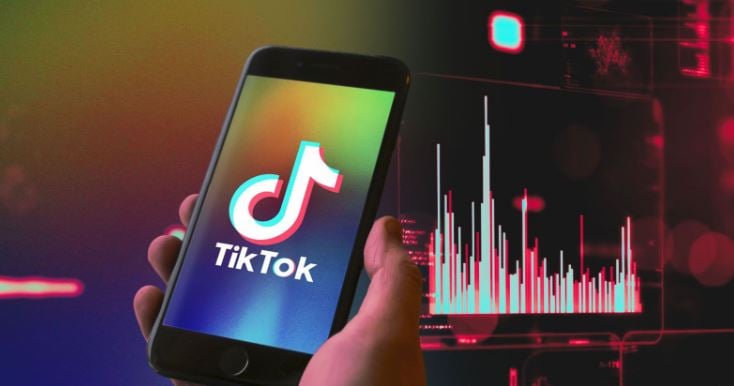 TikTok, eşcinsel içerik izleyenlerin listesini tutmuş