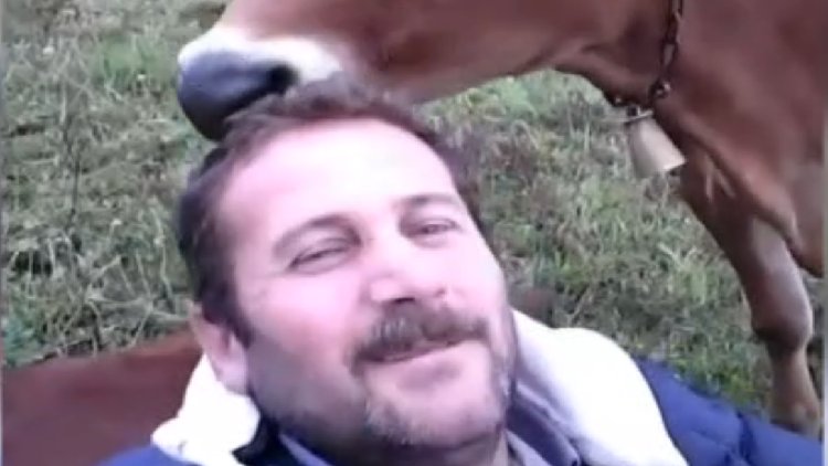 Trabzonlu 'kuaför inek' sosyal medya fenomeni oldu