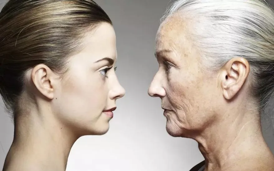 Az Ye Çok Yaşa... Meyve Sinekleri Üzerinde Yapılan Deneyde Çok Şaşırtıcı Sonuçlar Elde Edildi... Ezberinizi Bozabilirsiniz