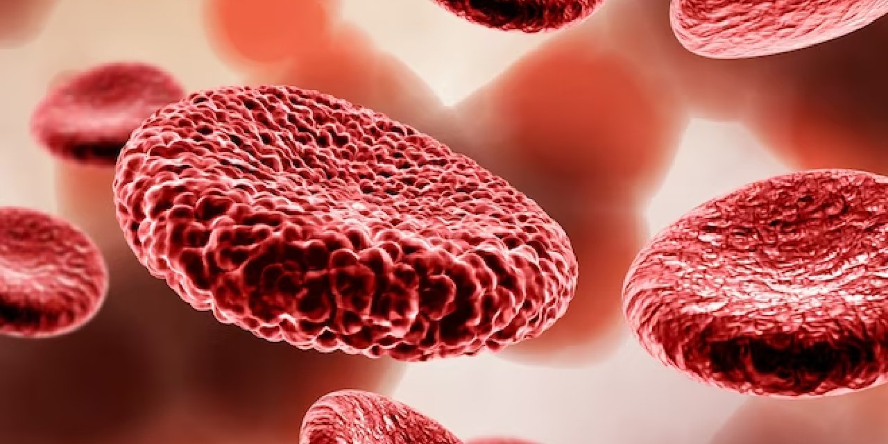 Gizemli keşif... Yeni kan grubunun adı :'SARA'...Dünyada sadece iki ailede var...