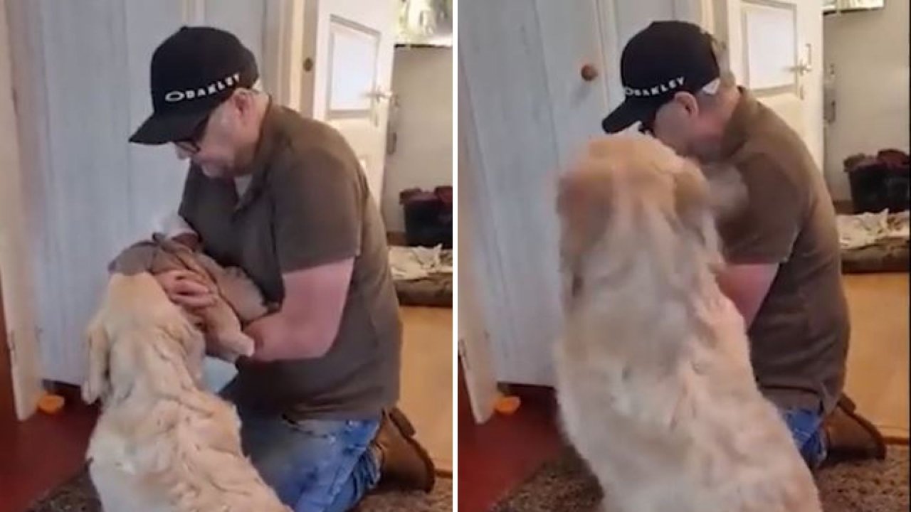 Evin yeni üyesi bebek ile tanışan köpeğin heyecanı viral oldu