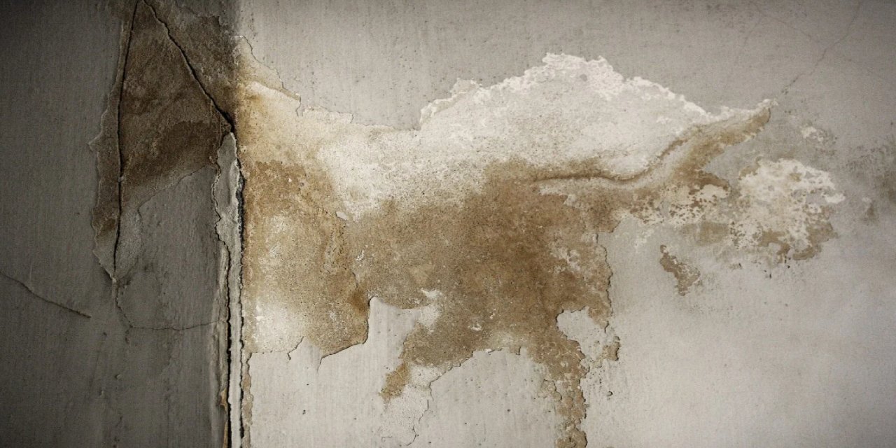 Can sıkan küf lekelerinden kurtulun! Tek formül yetiyor: Duvarlar tertemiz olacak