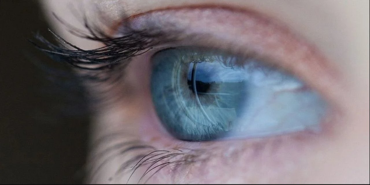 Kalp  ve göz sağlığı için en iyi yaz meyvesi…