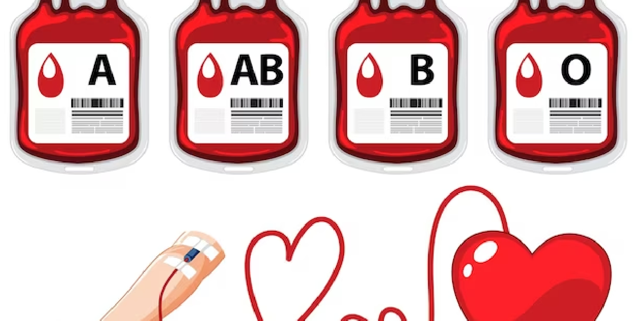 Kan grubu "B " olanlar için  karakteristik özellikler: