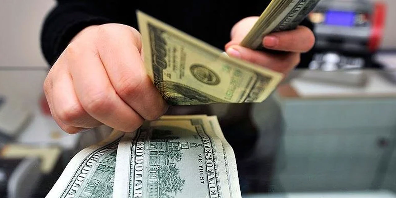 Merkez Bankası Açıkladı: İşte Yıl Sonu Dolar/TL Kuru Beklentisi