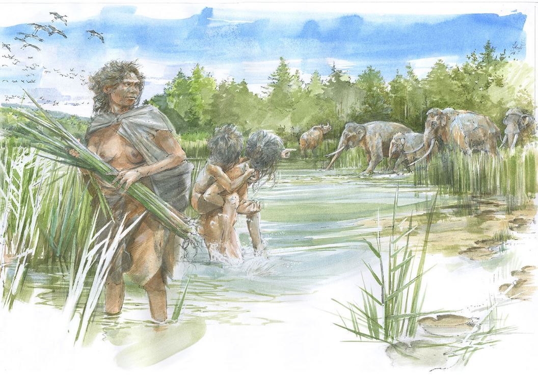 Almanya’da 300 bin yıllık Homo heidelbergensis ayak izleri...