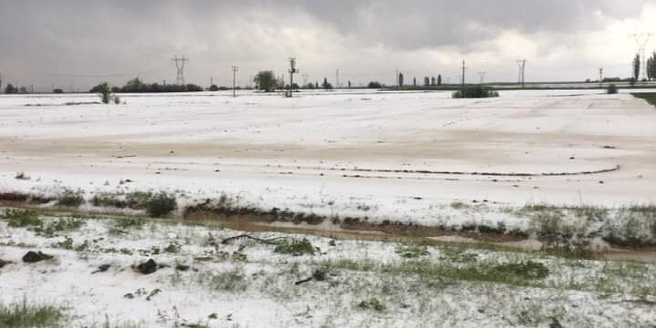 Gören Kar Sandı: Tarlalar Beyaza Büründü