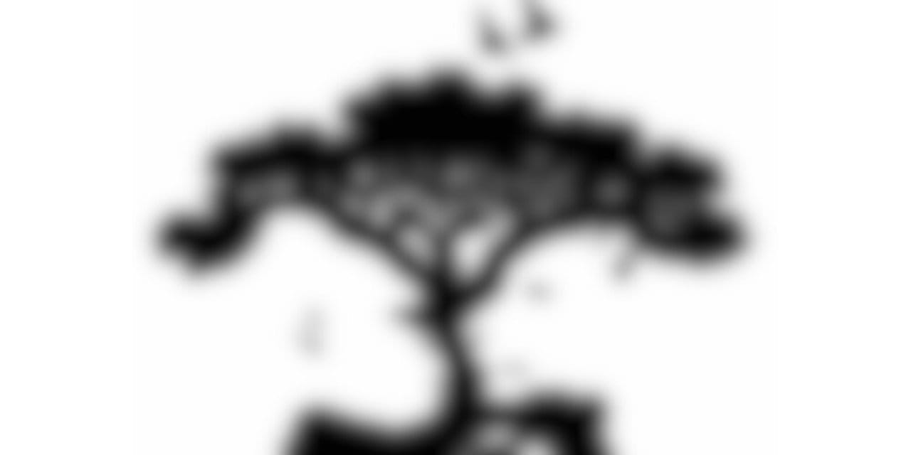 Optik illüzyonda gördüğünüz ilk hayvan karakter özelliklerinizi belirliyor