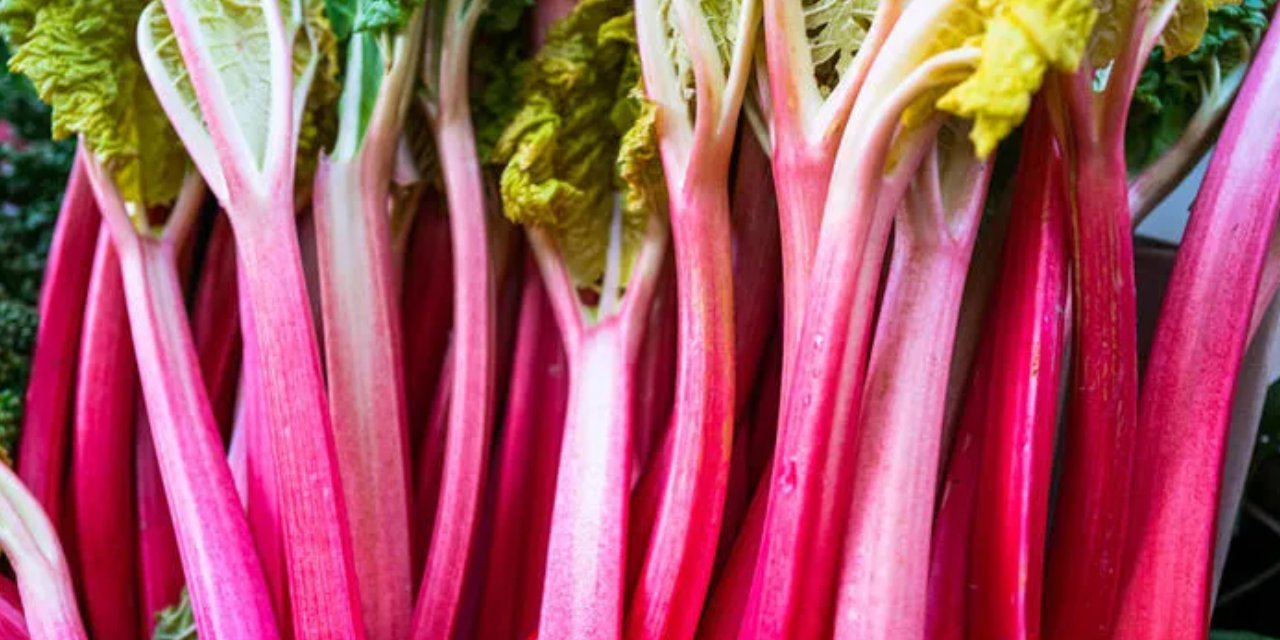 Beyazlayan saçlara mucizevi çözüm! Saç boyası kullanmadan beyaz saçları yok edin