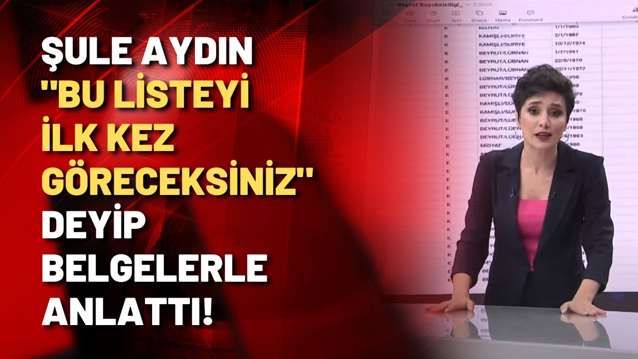 Şule Aydın: Bu liste, vatanı parsel parsel nasıl sattıklarının listesi!
