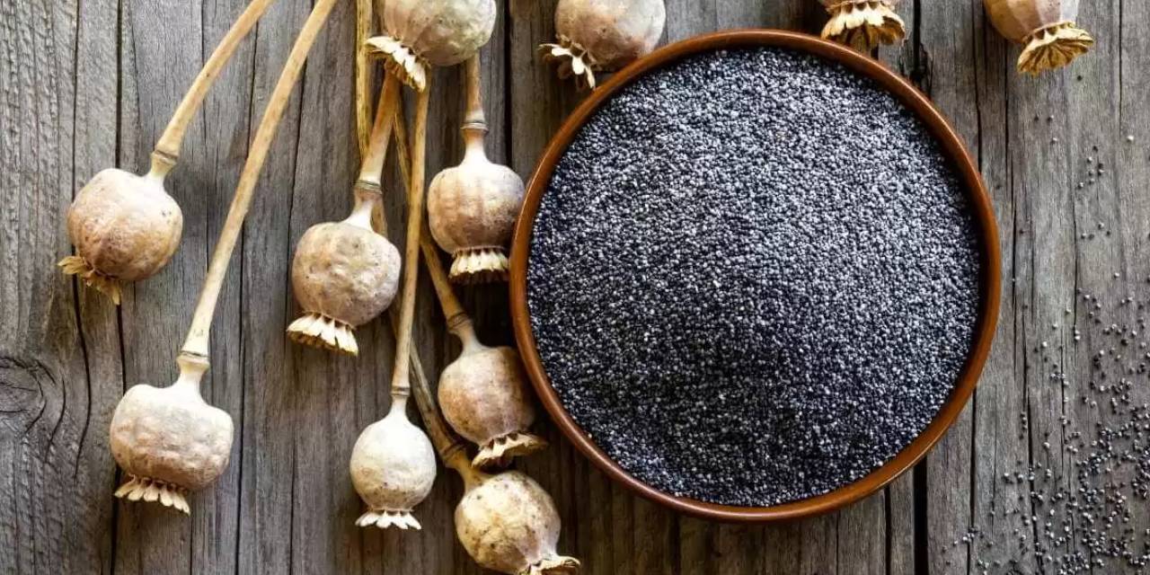 Haşhaşın Faydaları Nelerdir? Balıktan Daha Fazla Omega-3 İçeriyor!