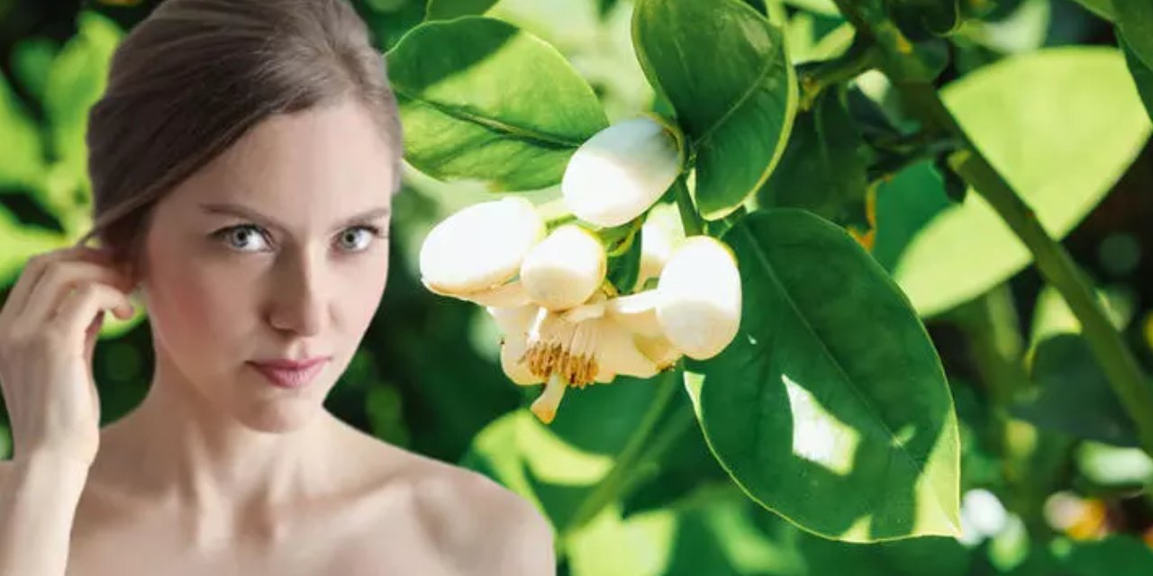 Gece 1 damla sürünce hücre onarımını destekliyor! Anti-aging koruma sağlayan tek yöntem, doğal botoks etkisi