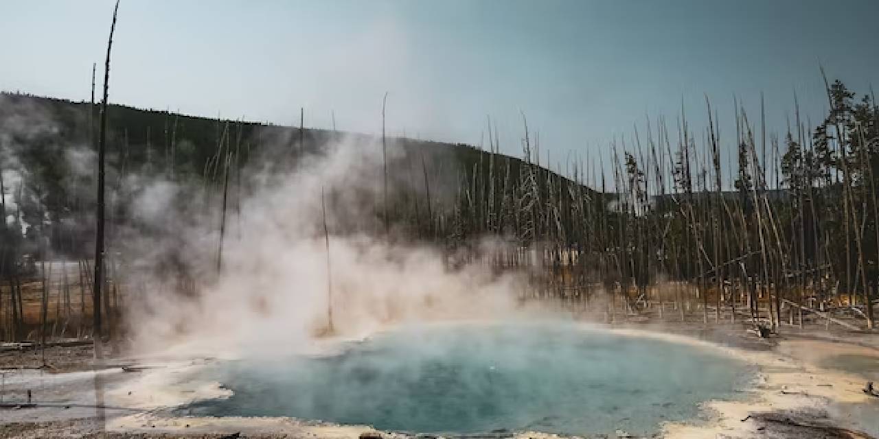Gelecekte bir asteroit çarpması,nükleer savaş ya da volkanik patlama sonucu beslenme alışkanlıklarımız bir hayli değişecek…
