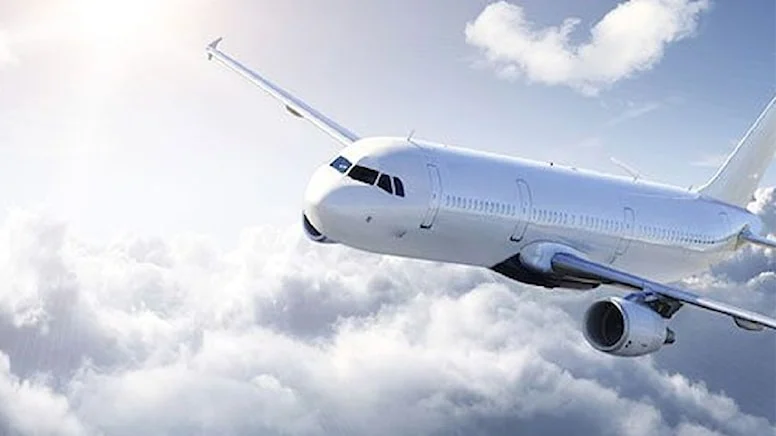 Uçakta akrep dehşeti... Kadın yolcuyu akrep soktu...