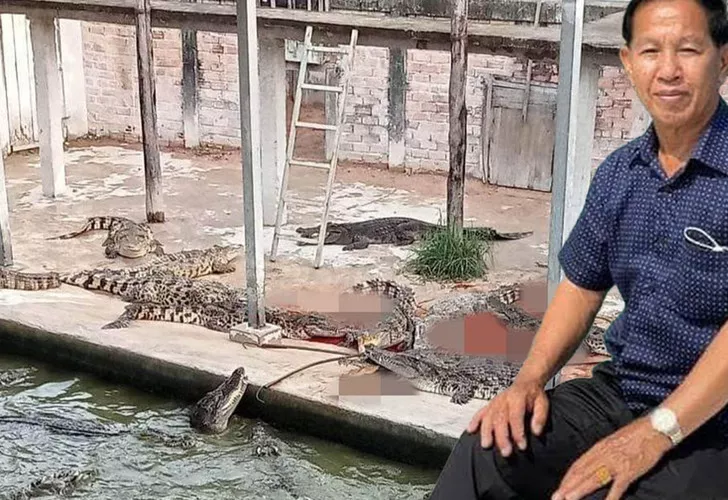 Timsahların olduğu havuza düşen çiftçinin sonu feci bitti! Geriye sadece tek bir ayakkabısı kaldı