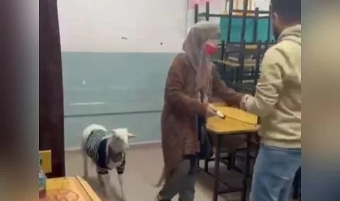 İstanbul'da bir vatandaş oy kullanmaya kuzusu ile birlikte gitti