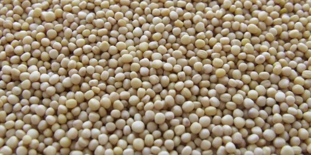 En güçlü D vitamini deposu besin oymuş! Çelik gibi güçlü kemikler için tüketin