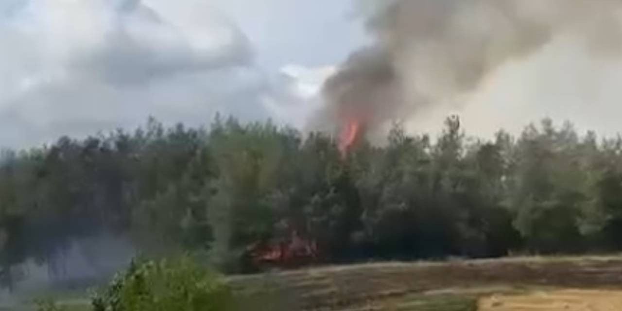 Adana'da tarlada başlayan yangın ormana sıçradı