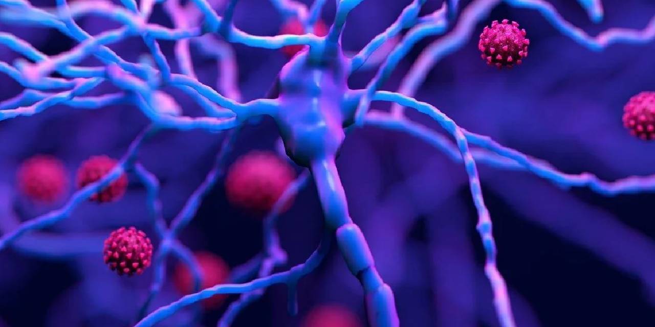 Kötü Seks Hayatı Erkeklerin Beyninde Hasar Bırakıyor