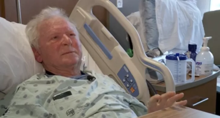 81 yaşındaki adam 100 arı ile mücadele etti! Kalçası kırılınca hastanelik oldu