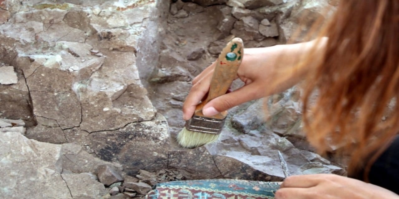 Yer Çankırı: 28 Milyon Yıllık Dev Gergedan Fosili Bulundu