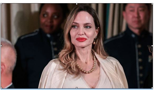 Angelina Jolie’nin, sürdürülebilirlik odaklı yeni moda girişimi!