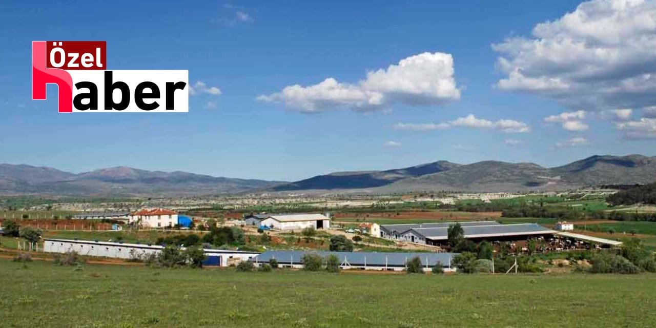 Şirketin Sahibi Sektör Başkanıydı: 70 yıllık Hacıince Et Konkordato İstedi