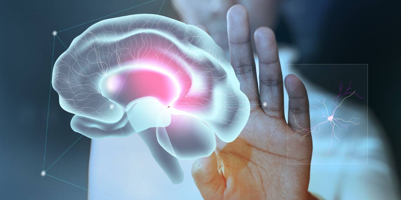 Zeki İnsanların Ortak Özellikleri! Yapılan Araştırmalar Zeki İnsanların Birbirlerine Benzediğini Gösteriyor!