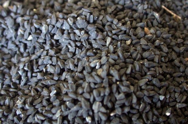 Ölüm dışında her derde deva kara mucize…