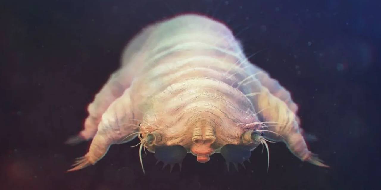 Duyunca çok şaşıracaksınız... İnsan derisinde 2,5 milyon tane yaşıyor: Bulaşma yöntemi ise daha ilginç!