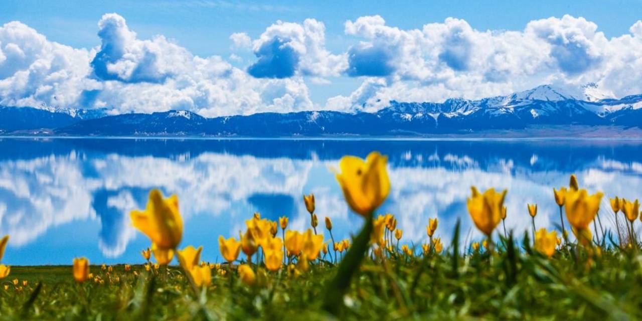 Dünyaca Ünlü Felsefeci Araştırdı: İşte Hayatın Anlamını İfade Eden 5 Cümle