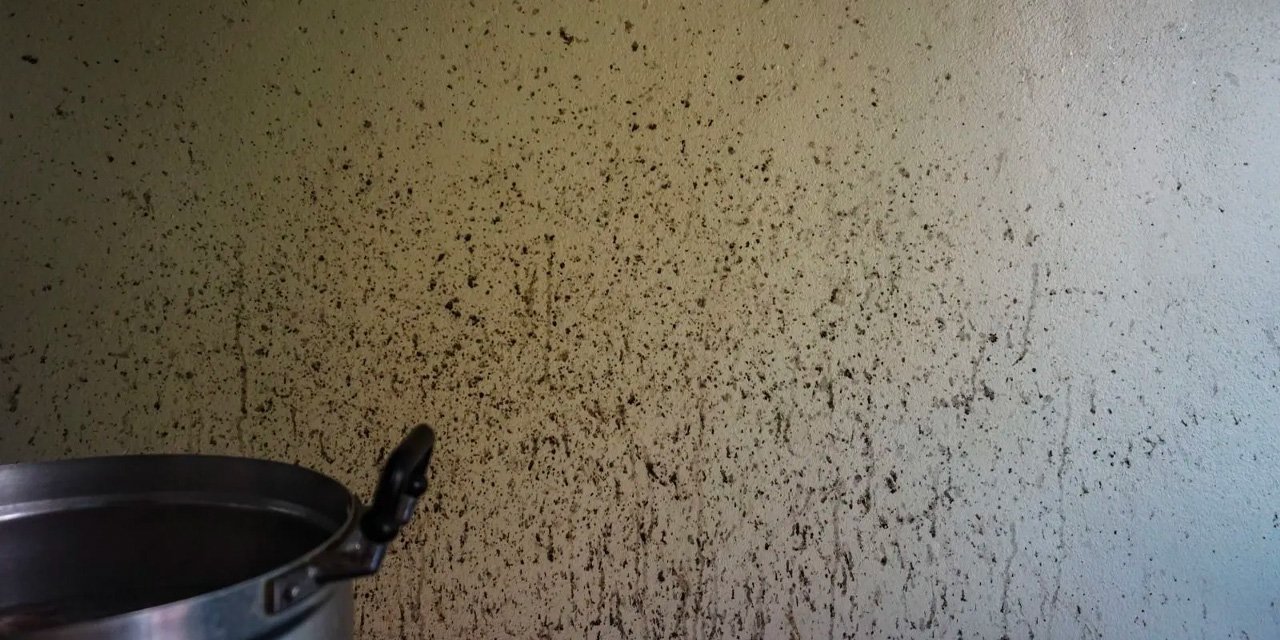 Duvara sıçrayan yağlardan bıktınız mı? Bu yöntem yağ lekesini tek seferde çıkarıyor!