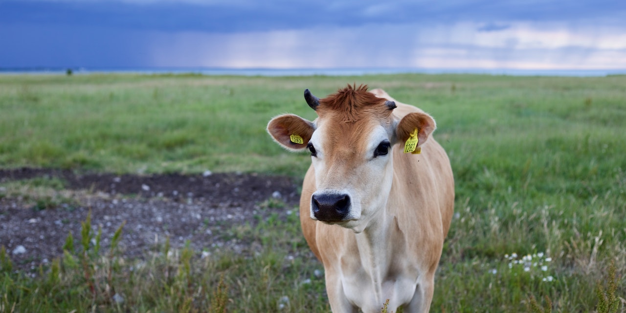 Kurban Bayramı Tatili 9 Gün Oldu Mu?