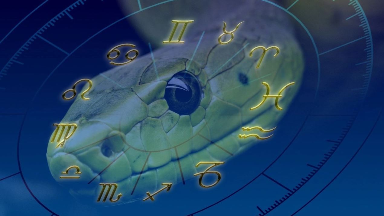 Yılan Kadar Sinsi, Akrep Kadar Zehirli 6 Burç